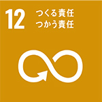 sdg_12